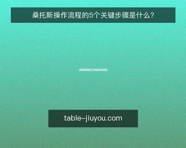 桑托斯操作流程的5个关键步骤是什么？