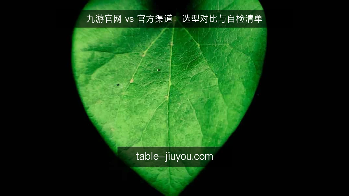 九游官网 vs 官方渠道：选型对比与自检清单